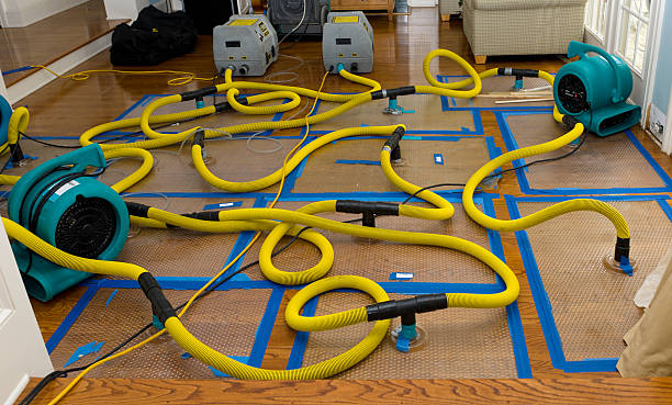 Professional Emergency Water Removal technician working in Charlestown, IN